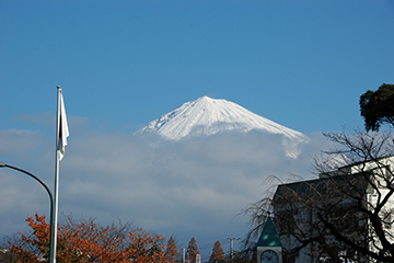 写真：卯月八日