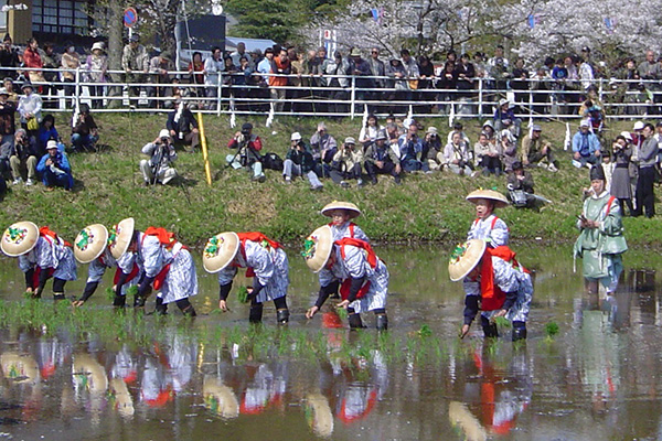 写真:春まつり