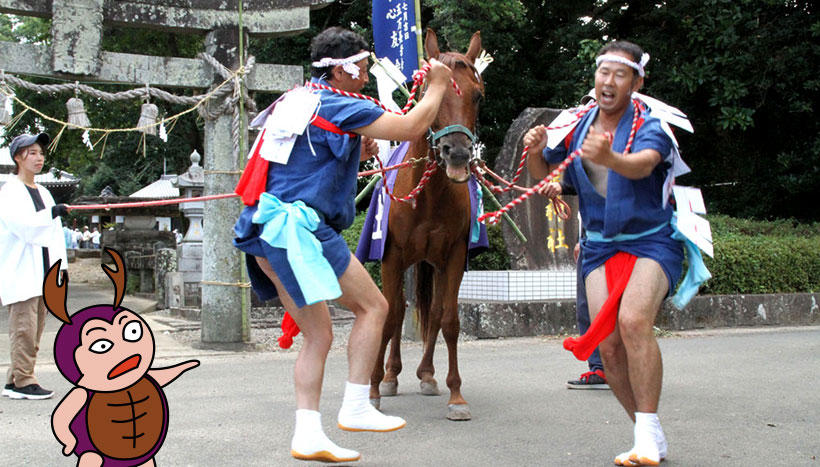 写真：「風除祭」長崎県島原半島北部の各神社（8月中旬～9月中旬）