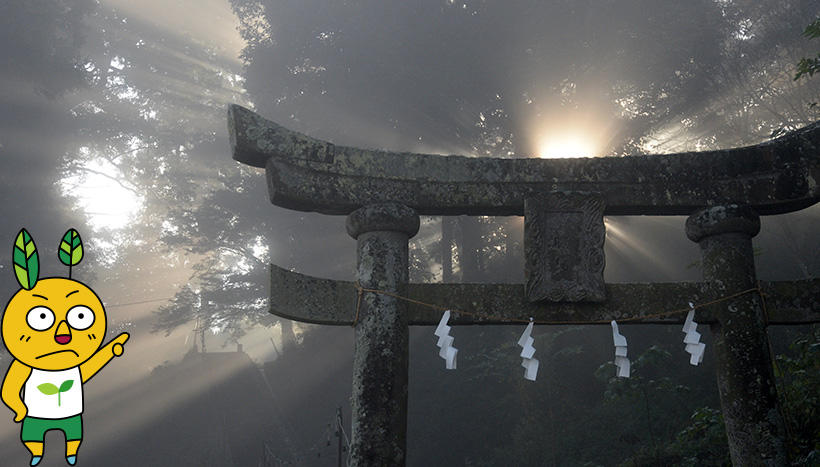 写真：妻垣神社（大分県宇佐市安心院町妻垣鎮座）