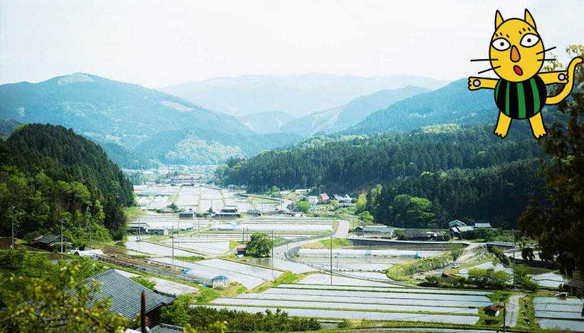 写真：八幡神社（愛媛県上浮穴郡久万高原町）