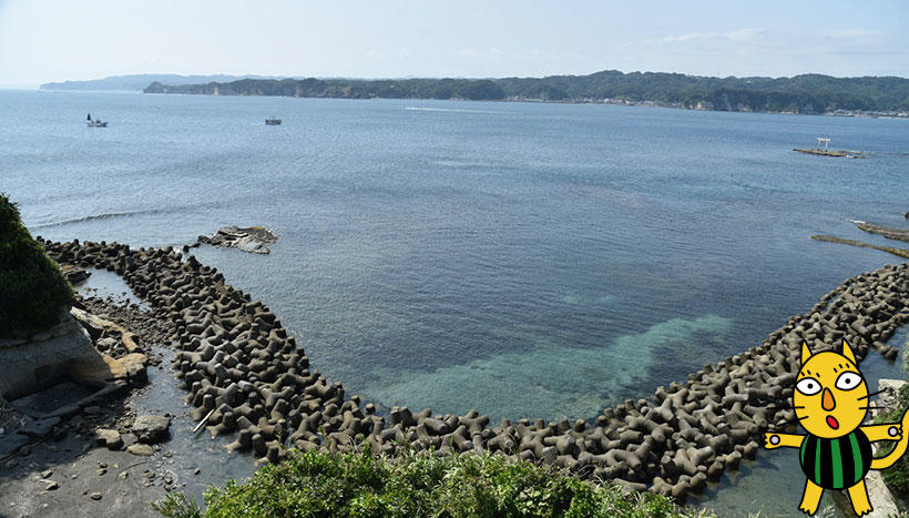 写真：遠見岬神社（千葉県勝浦市浜勝浦鎮座）