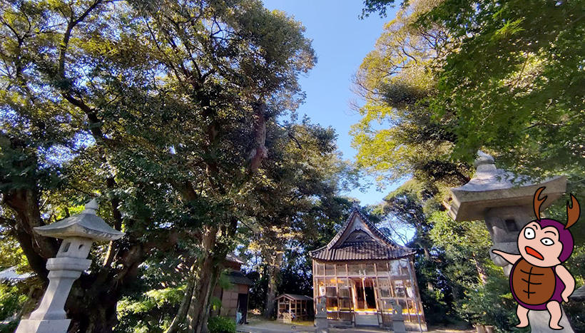 写真：深江八幡神社（石川県羽咋市深江町鎮座）