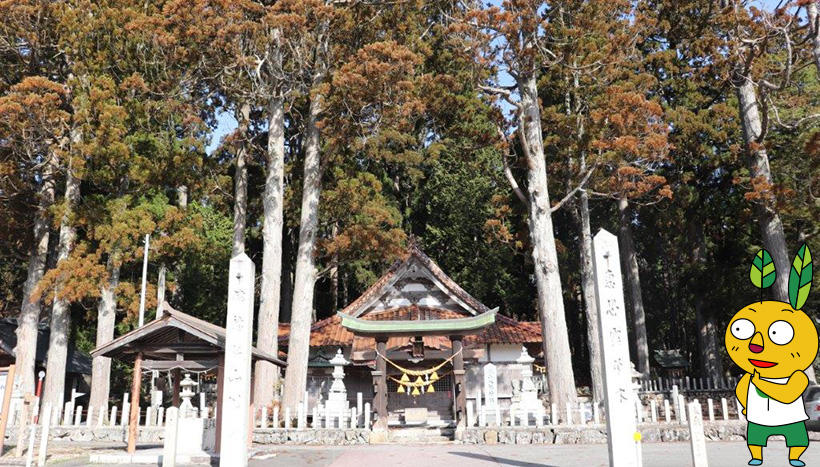 写真：亀山八幡神社（広島県山県郡北広島町宮地鎮座）