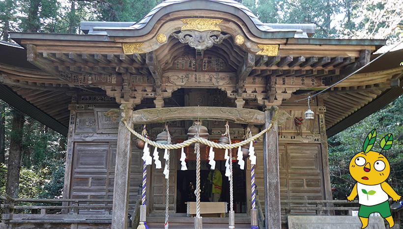 写真：<ruby><rb>琴平神社</rb><rt>ことひらじんじゃ</rt></ruby>（埼玉県秩父市下影森鎮座）