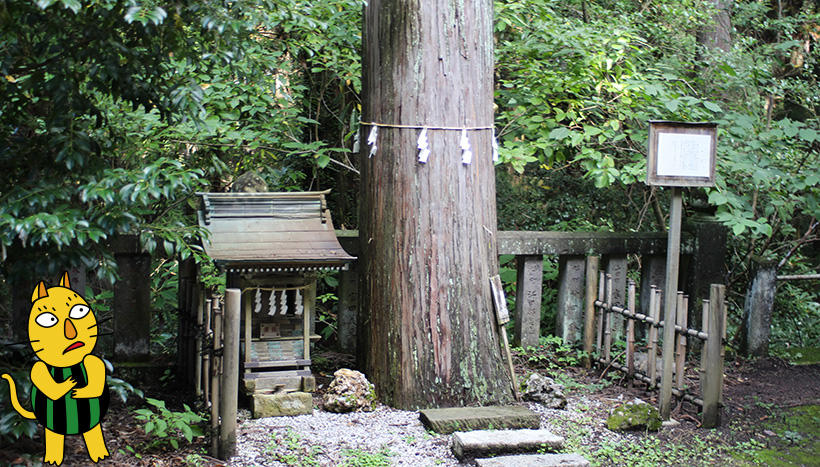 写真：<ruby><rb>琴平神社</rb><rt>ことひらじんじゃ</rt></ruby>（埼玉県秩父市下影森鎮座）