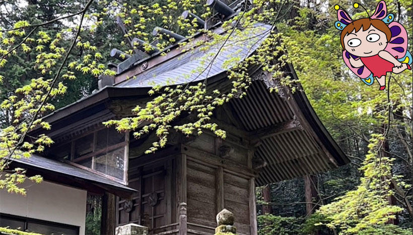 写真：上小鴨神社　（鳥取県倉吉市鴨河内鎮座）